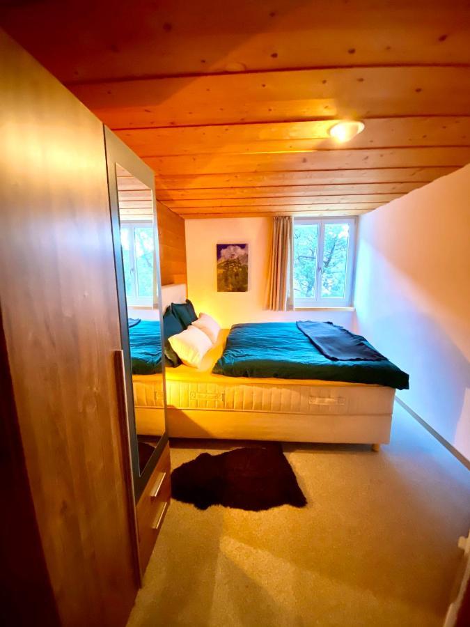 Appartement Aareschlucht- Grandiose Aussicht Fuer 2-6 Pers. Meiringen Dış mekan fotoğraf