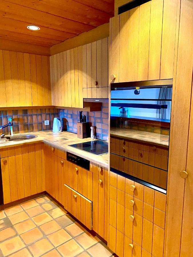 Appartement Aareschlucht- Grandiose Aussicht Fuer 2-6 Pers. Meiringen Dış mekan fotoğraf