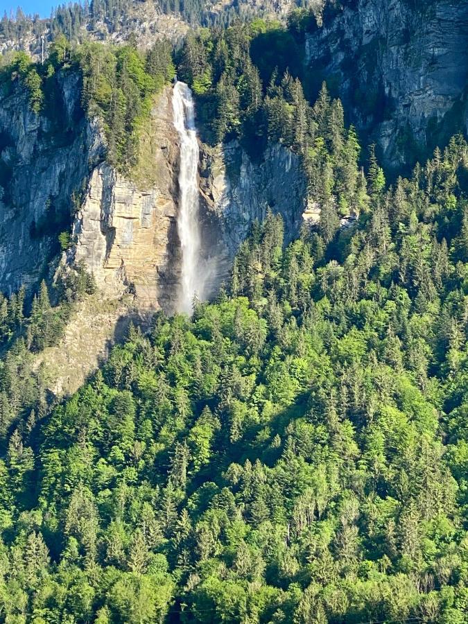 Appartement Aareschlucht- Grandiose Aussicht Fuer 2-6 Pers. Meiringen Dış mekan fotoğraf