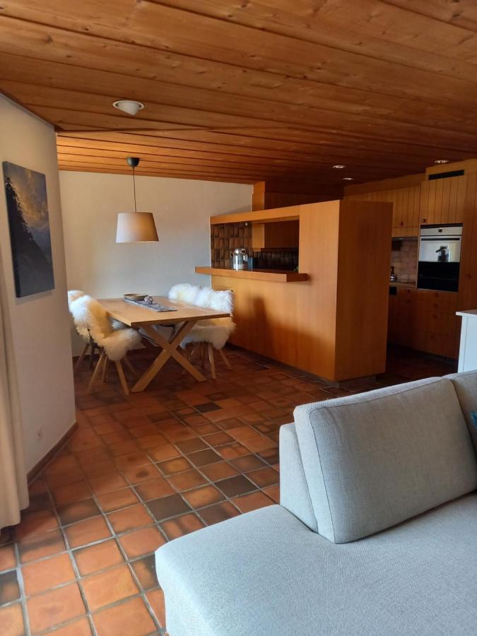 Appartement Aareschlucht- Grandiose Aussicht Fuer 2-6 Pers. Meiringen Dış mekan fotoğraf