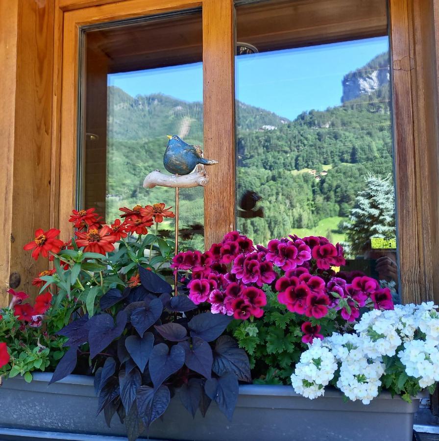 Appartement Aareschlucht- Grandiose Aussicht Fuer 2-6 Pers. Meiringen Dış mekan fotoğraf